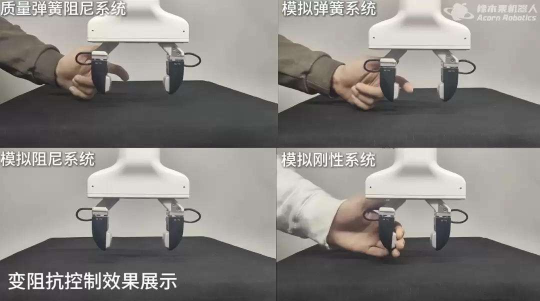 图｜来源于小红书博主@橡木果 AcornRobot