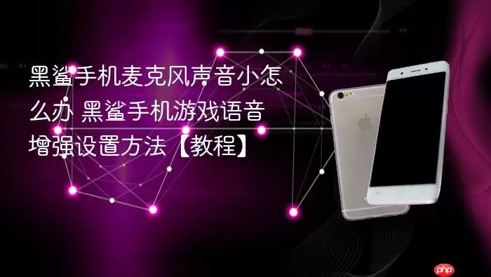 黑鲨手机麦克风声音太小如何解决 黑鲨手机游戏语音增强功能设置教程