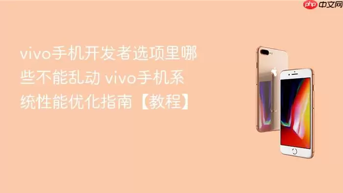 vivo手机开发者选项哪些设置不可随意更改-vivo手机系统性能提升操作教程指南