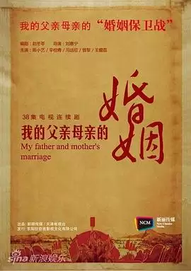 电视剧《我的父亲母亲2013》故事梗概