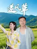 电影《逆风草》-剧情内容介绍