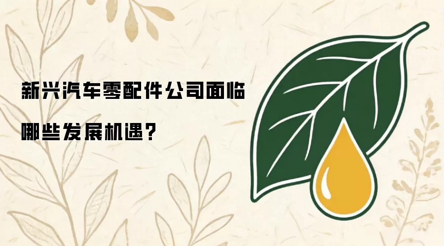 新兴汽车零配件企业如何把握市场发展契机