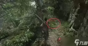 明末渊虚之羽蜀神庇佑获取方法详解-明末渊虚之羽蜀神庇佑效果全面解析