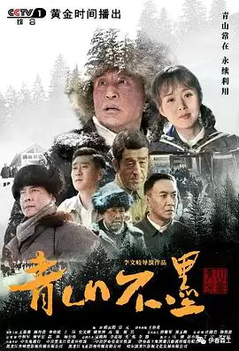 青山不墨电视剧剧情内容介绍
