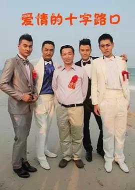 电视剧《爱情的十字路口》剧情介绍