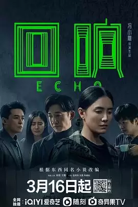 电视剧《回响》剧情介绍