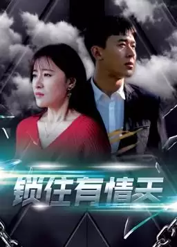 电视剧《锁住有情天》剧情介绍