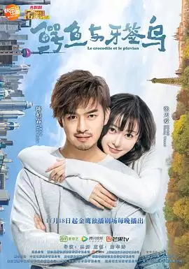 电视剧《鳄鱼与牙签鸟》剧情介绍