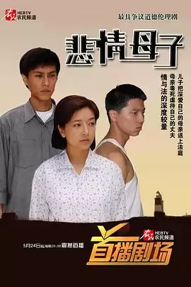 悲情母子电视剧剧情介绍