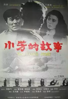 电影《小芳的故事》剧情介绍