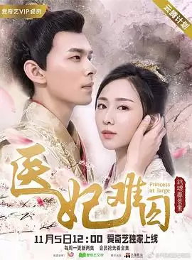 电视剧《医妃难囚第一季》