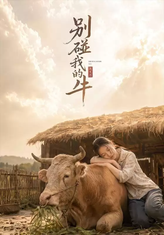 短剧《别碰我的牛》剧情简介