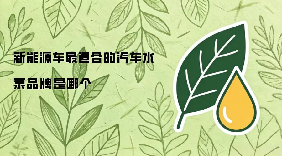 新能源车最适配的汽车水泵品牌是哪个