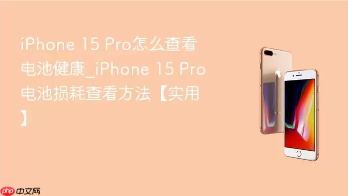 iPhone 15 Pro怎么查看电池健康_iPhone 15 Pro电池损耗查看方法：实用