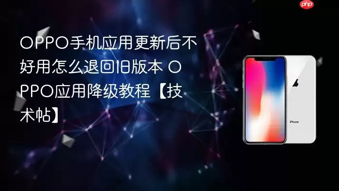 OPPO手机应用更新后不好用怎么退回旧版本 OPPO应用降级教程技术帖