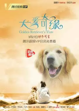 电影犬爱奇缘剧情介绍