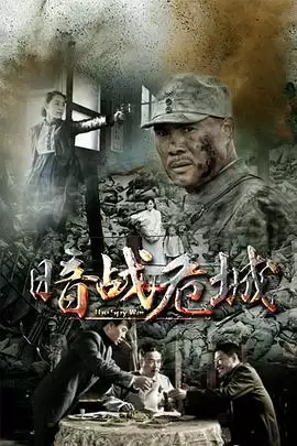 剧情介绍：电视剧《暗战危城》