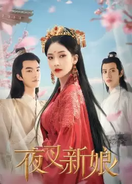 电视剧《夜叉新娘》剧情介绍
