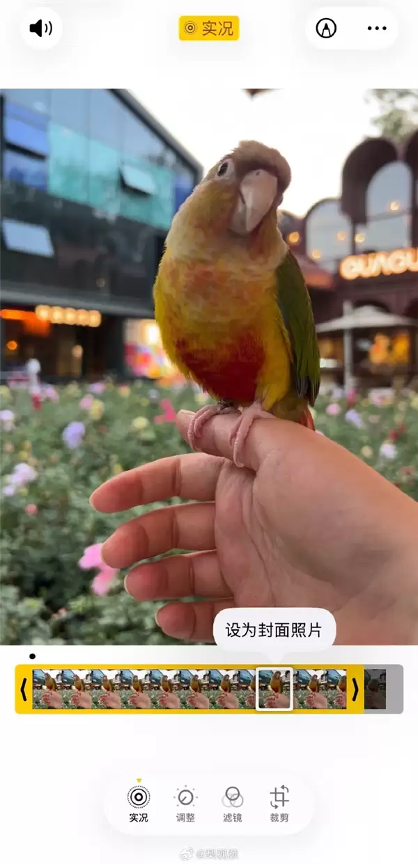苹果实况图被指精准选丑！客服回应：实况定格为系统判断