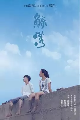 电影《鲸落》剧情简介