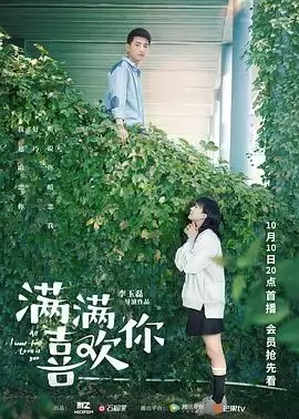 电视剧《满满喜欢你》剧情简介