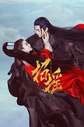 电视剧《招摇》剧情简介