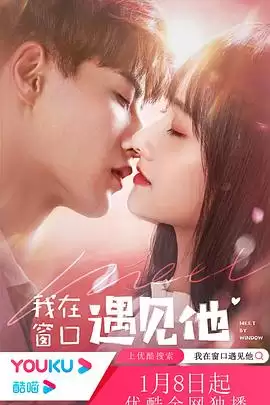 电视剧我在窗口遇见他剧情介绍