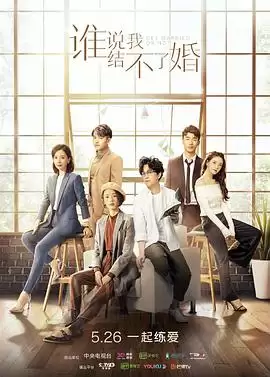 电视剧《谁说我结不了婚》剧情梗概