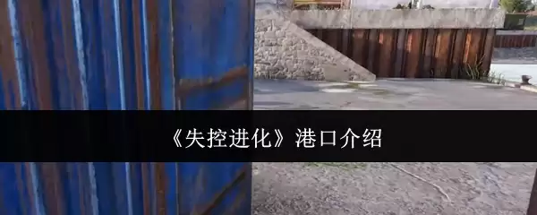 失控进化港口介绍