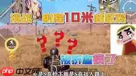 红色沙漠红狐商团任务如何完成