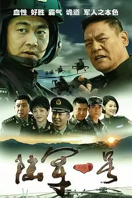 电视剧《陆军一号》剧情介绍