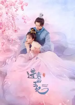电视剧《进击的王妃》剧情介绍