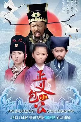 电视剧正义小包公剧情介绍