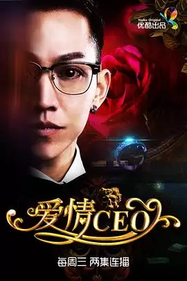 电视剧爱情CEO剧情介绍