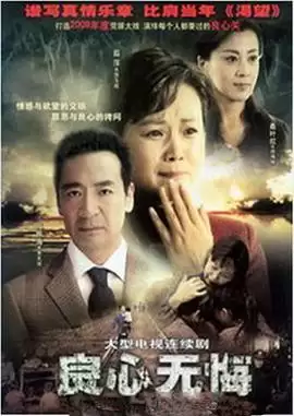 电视剧《良心无悔》剧情梗概