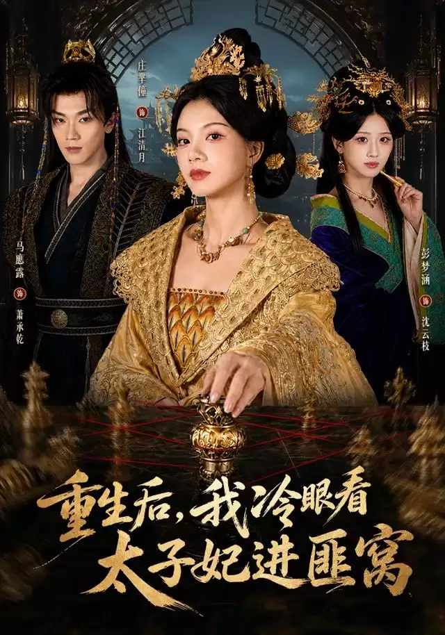 短剧《重生后，我冷眼看太子妃进匪窝》剧情介绍