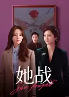 电视剧《她战》剧情介绍