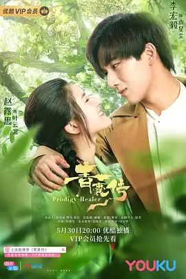 电视剧《青囊传》剧情介绍