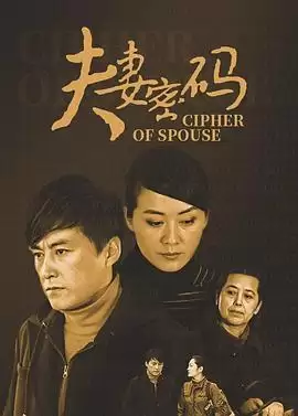 电视剧《夫妻密码》剧情介绍