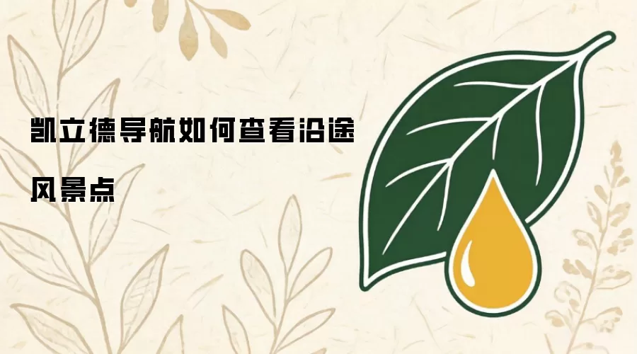凯立德导航怎样查看沿途风景点
