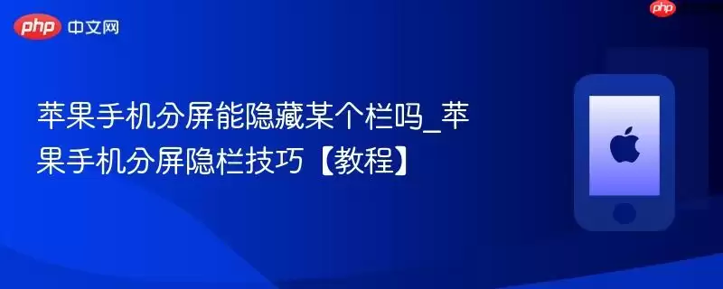苹果手机分屏能隐藏某个栏吗_苹果手机分屏隐栏技巧教程