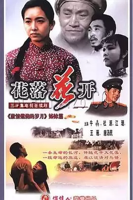 电视剧《花落花开1995》剧情简介