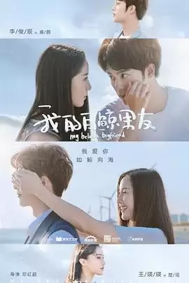 电视剧《我的白鲸男友第二季》剧情概述