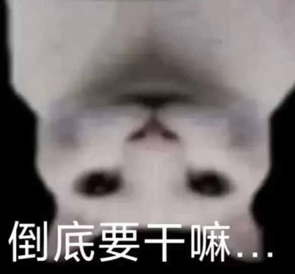 iPhone史上最难用的功能,把网友惹怒了