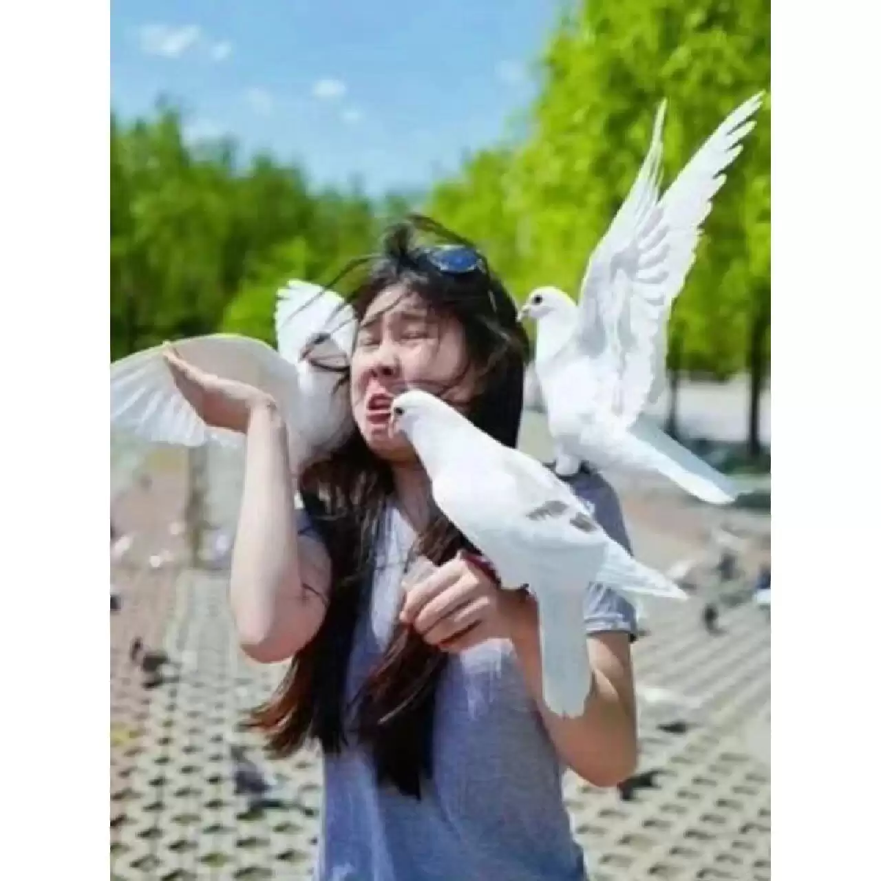微信图片_20260605225807_27_329.jpg