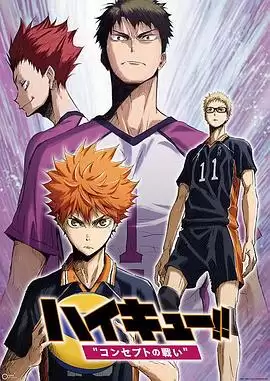 动漫《排球少年剧场版：观念之战》剧情介绍