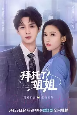 电视剧《拜托了！姐姐》剧情介绍
