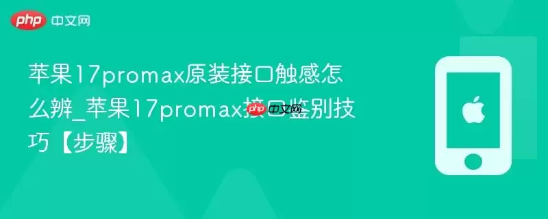 苹果17promax原装接口触感怎么辨_苹果17promax接口鉴别技巧步骤