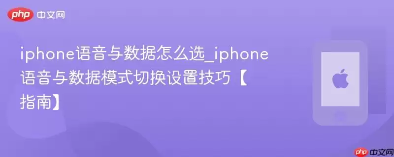 iphone语音与数据怎么选_iphone语音与数据模式切换设置技巧指南