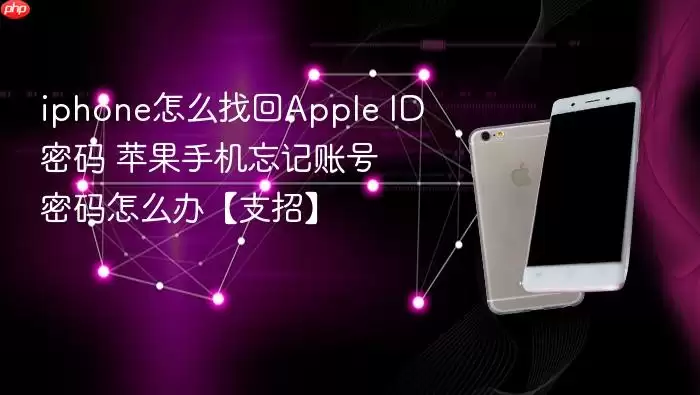 iphone怎么找回Apple ID密码 苹果手机忘记账号密码怎么办 支招